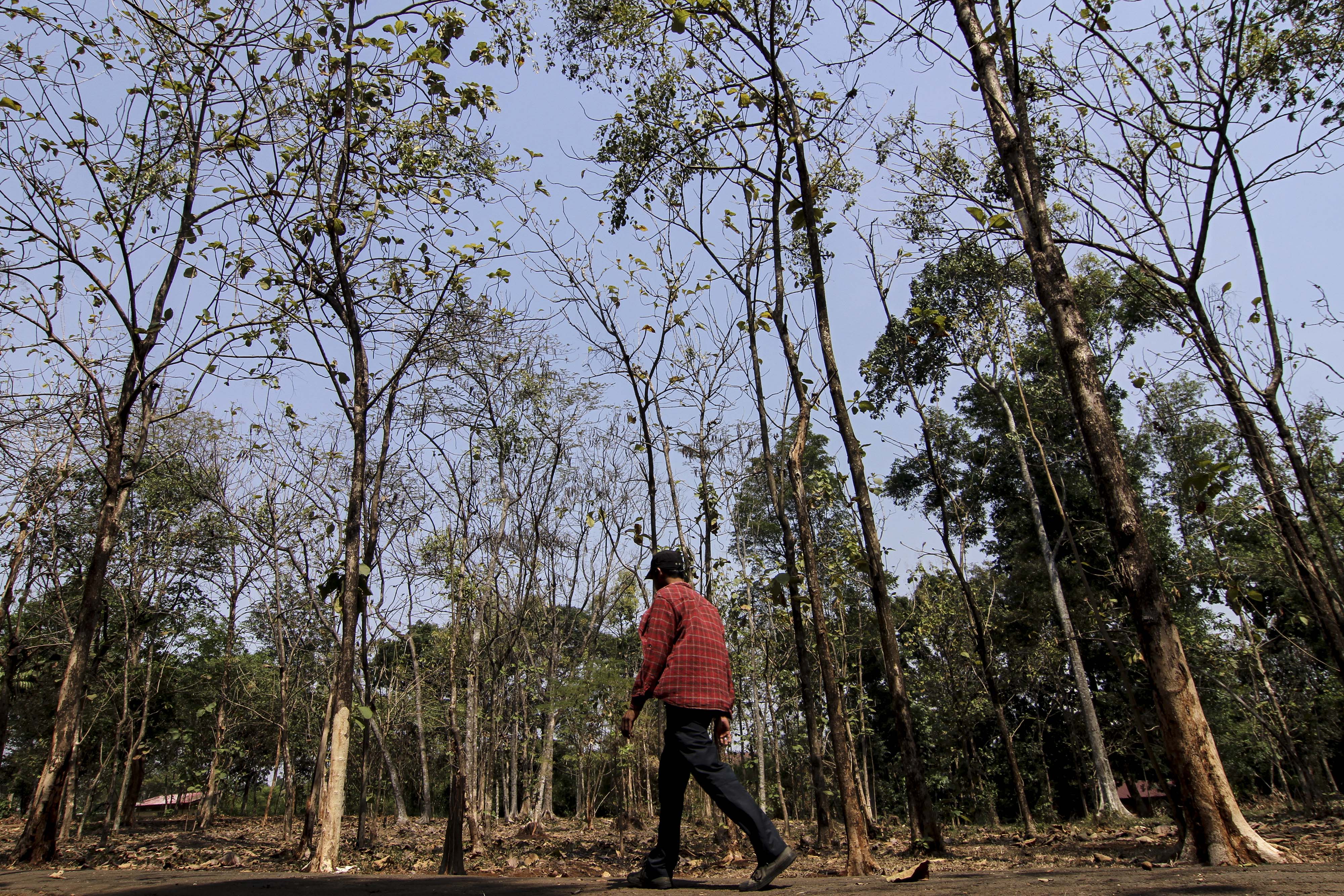 Awas! Suhu di Jakarta Capai 37° C Hingga Pekan Depan