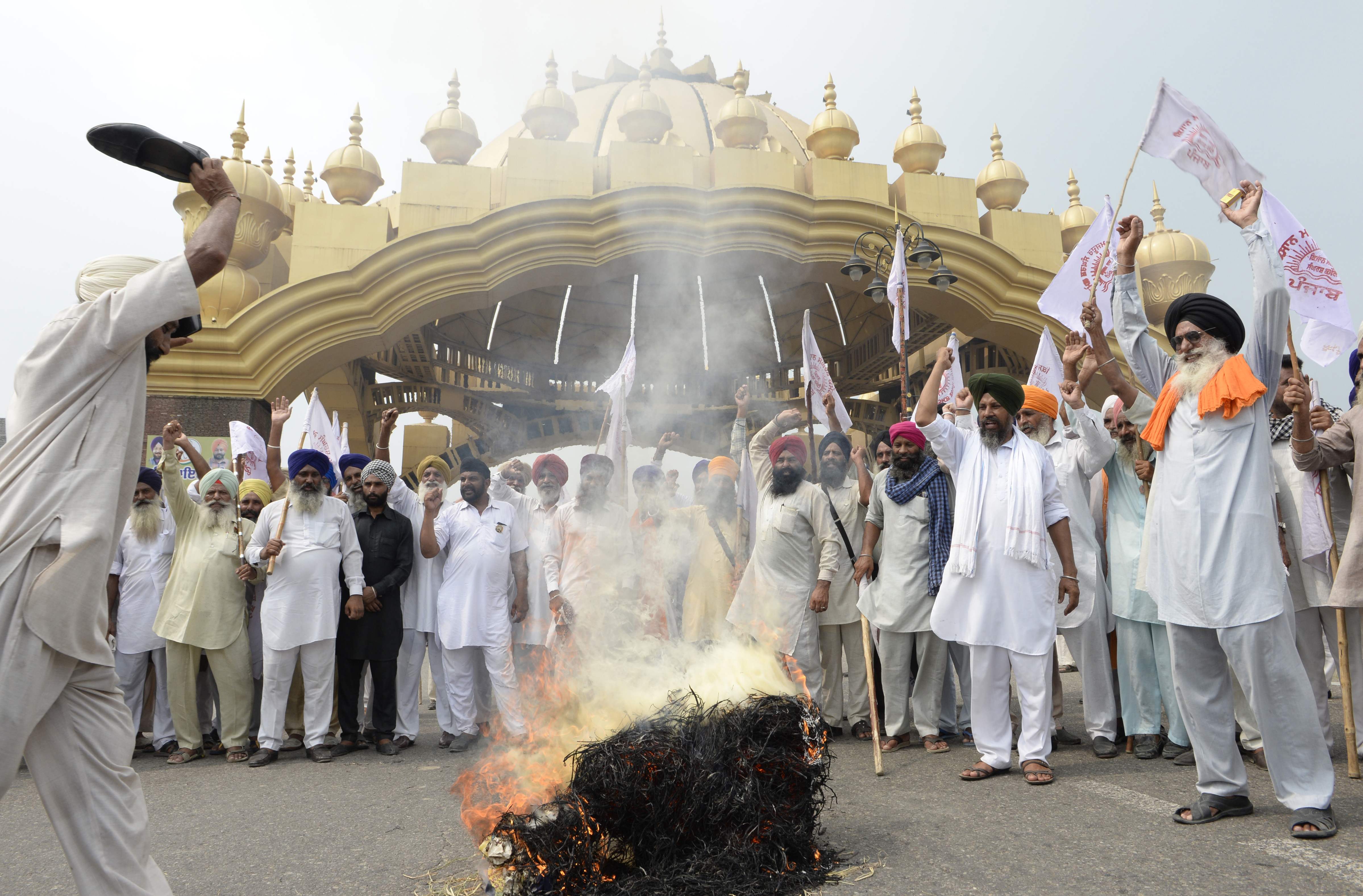Petani India protes terhadap rencana pemerintah India bergabung dengan Regional Comprehensive Economics Partnership (RCEP).