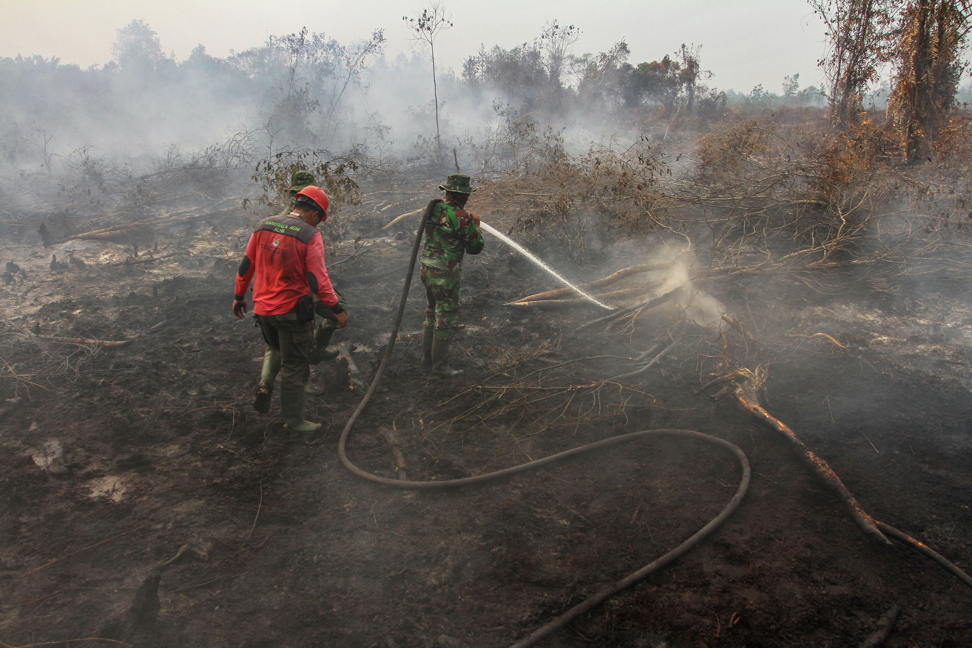 Satgas Karhutla Riau berusaha memadamkan kebakaran lahan gambut di Kabupaten Kampar, Riau, Selasa (24/9)