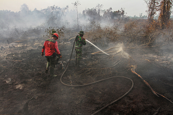Kebakaran hutan di Riau
