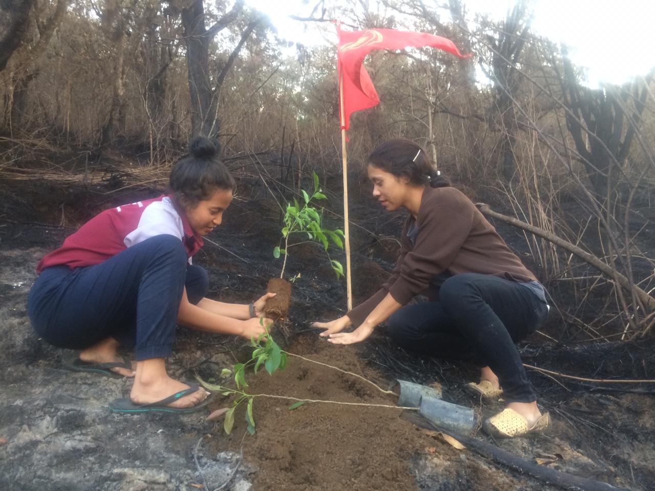 Anggota PMKRI menanam pohon di Nggolong Tede