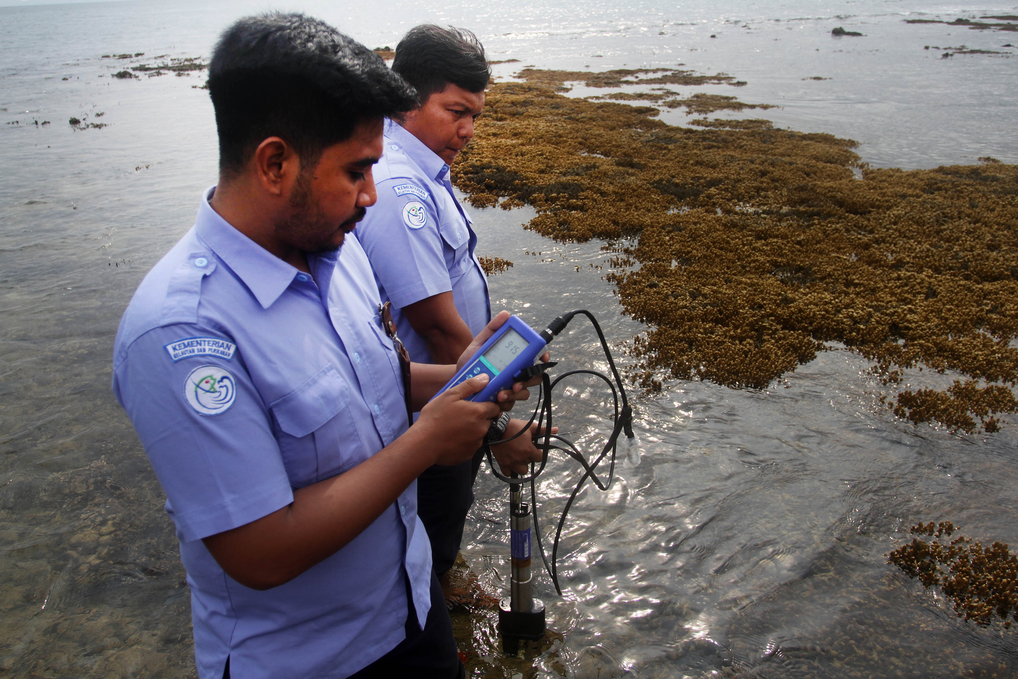 Tim Balai Pengelola Sumberdaya Pesisir dan laut (BPSPL) Padang mengukur suhu air laut saat meneliti terumbu karang