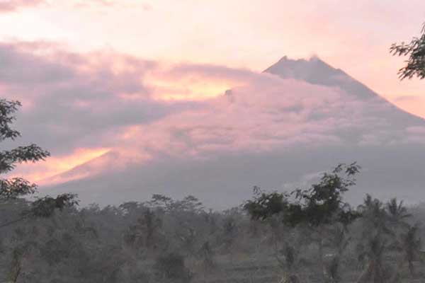 Hutan gunung Andong terbakar.