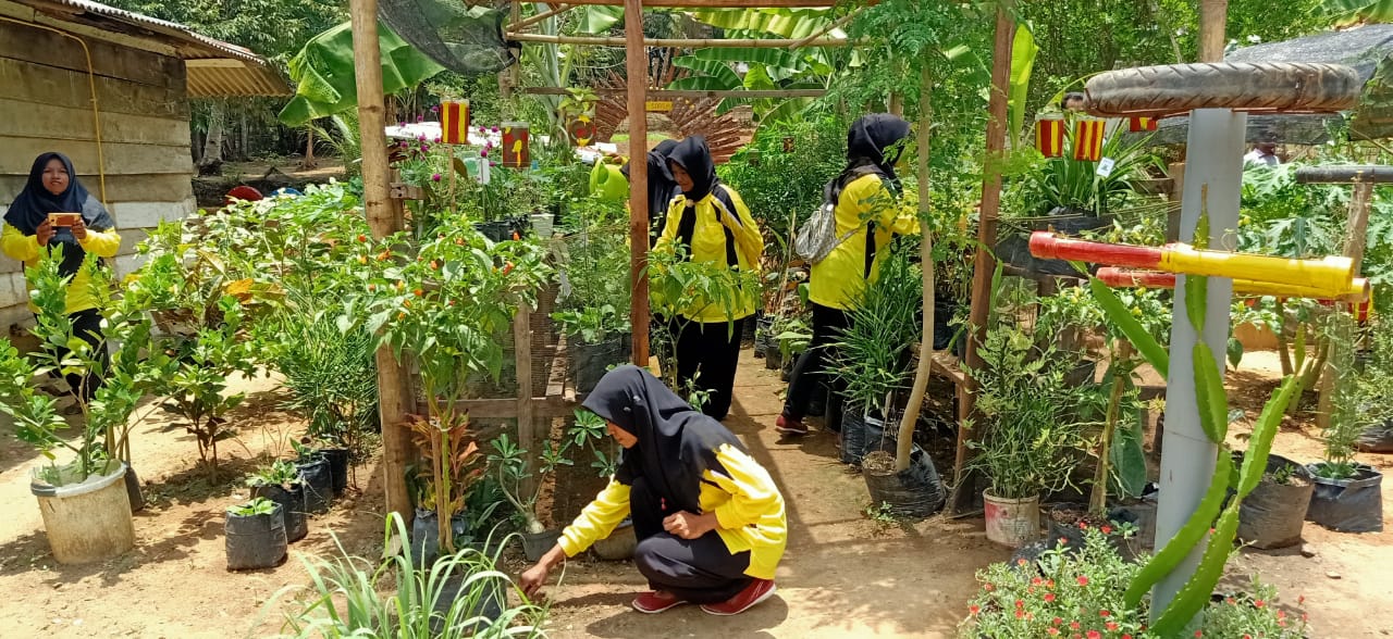 Ibu-ibu  Desa Karya Mulia, Kecamatan Rambang Kapak Tengah, Kota Prabumulihtengah mengecek tanaman obat organik 