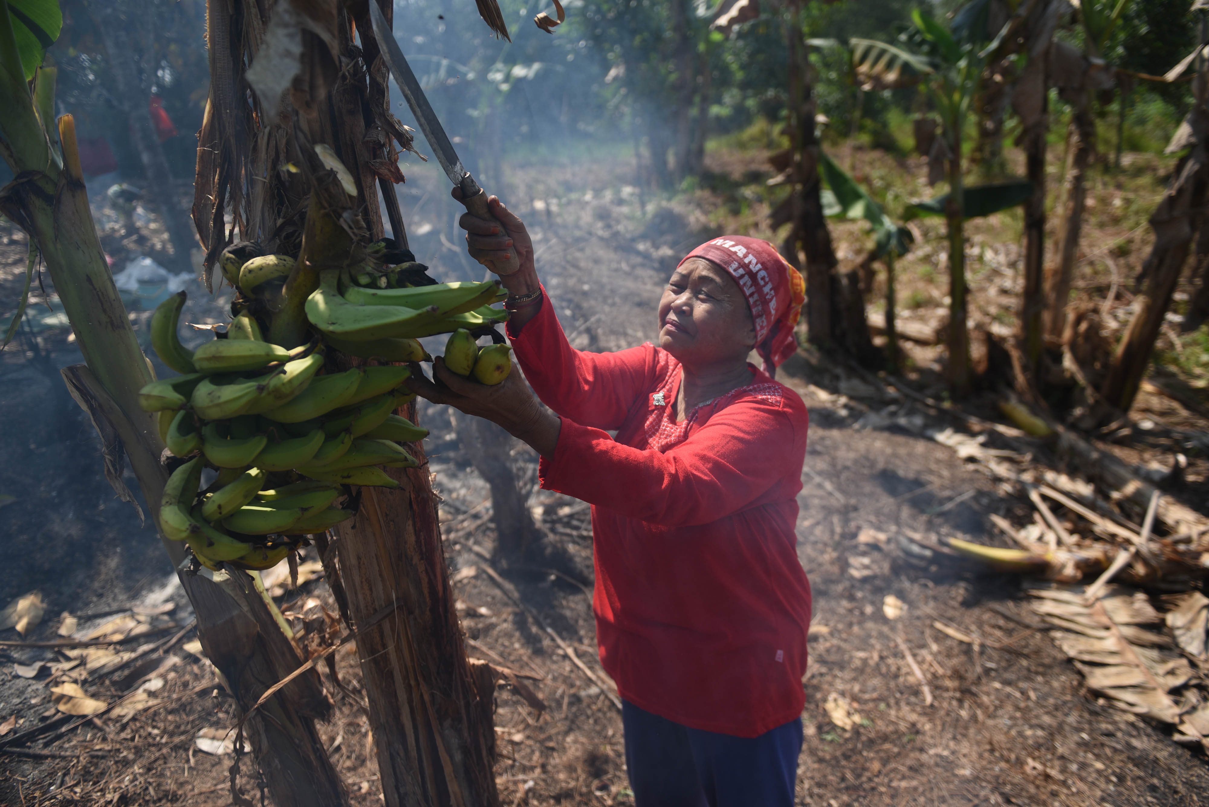 Warga membuka lahan miliknya di kawasan yang masuk ke dalam wilayah ibu kota negara baru di Kecamatan Samboja, Kutai Kartanegara, Kaltim.