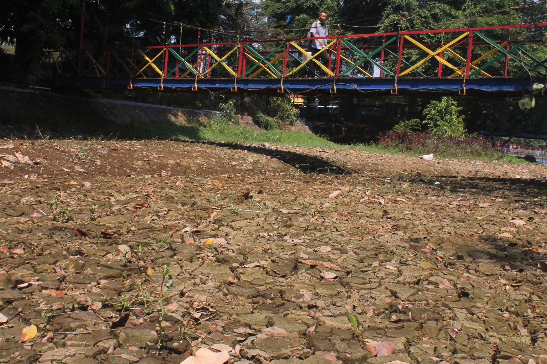 Musim kemarau membuat kering anak Sungai Cisadane di Hutan Kota, Pintu Air sungai Cisadane, Tangerang, Rabu (21/8).