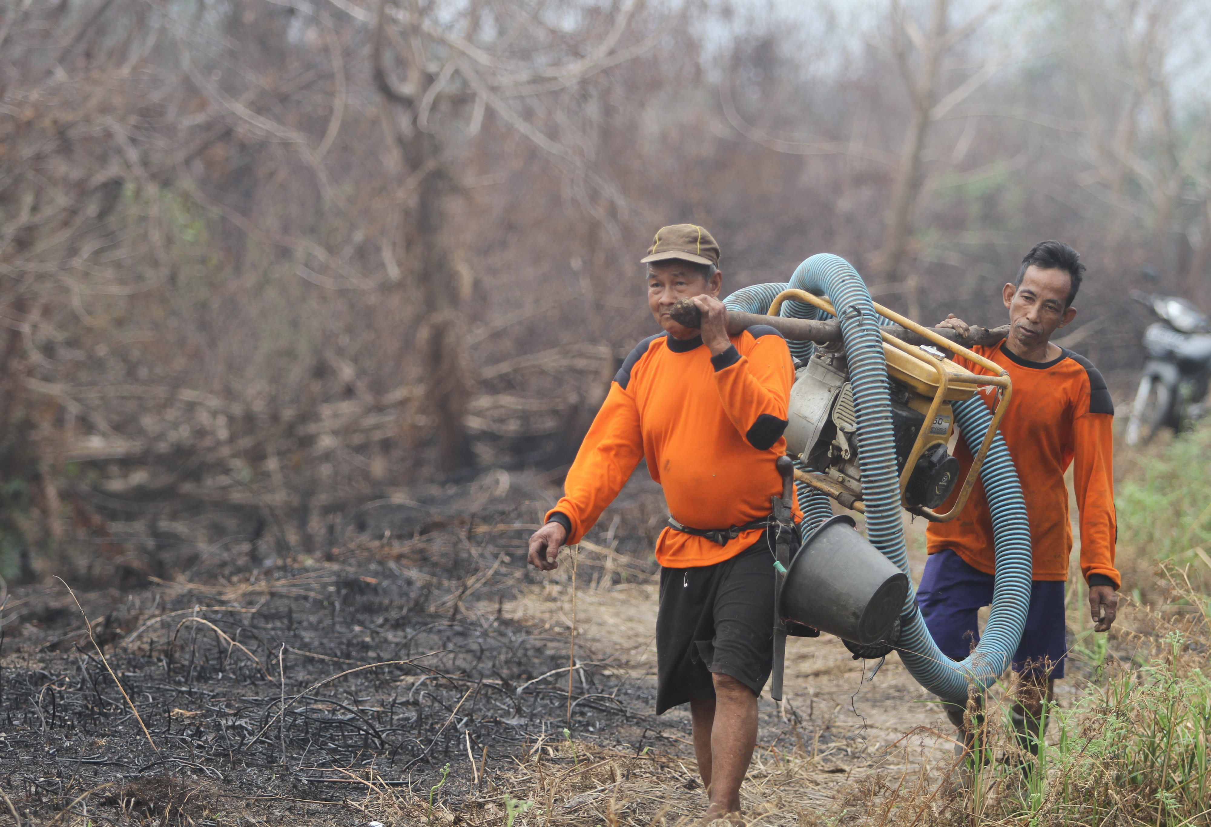 Kalimantan Tengah kini memasuki masa pemulihan karhutla.