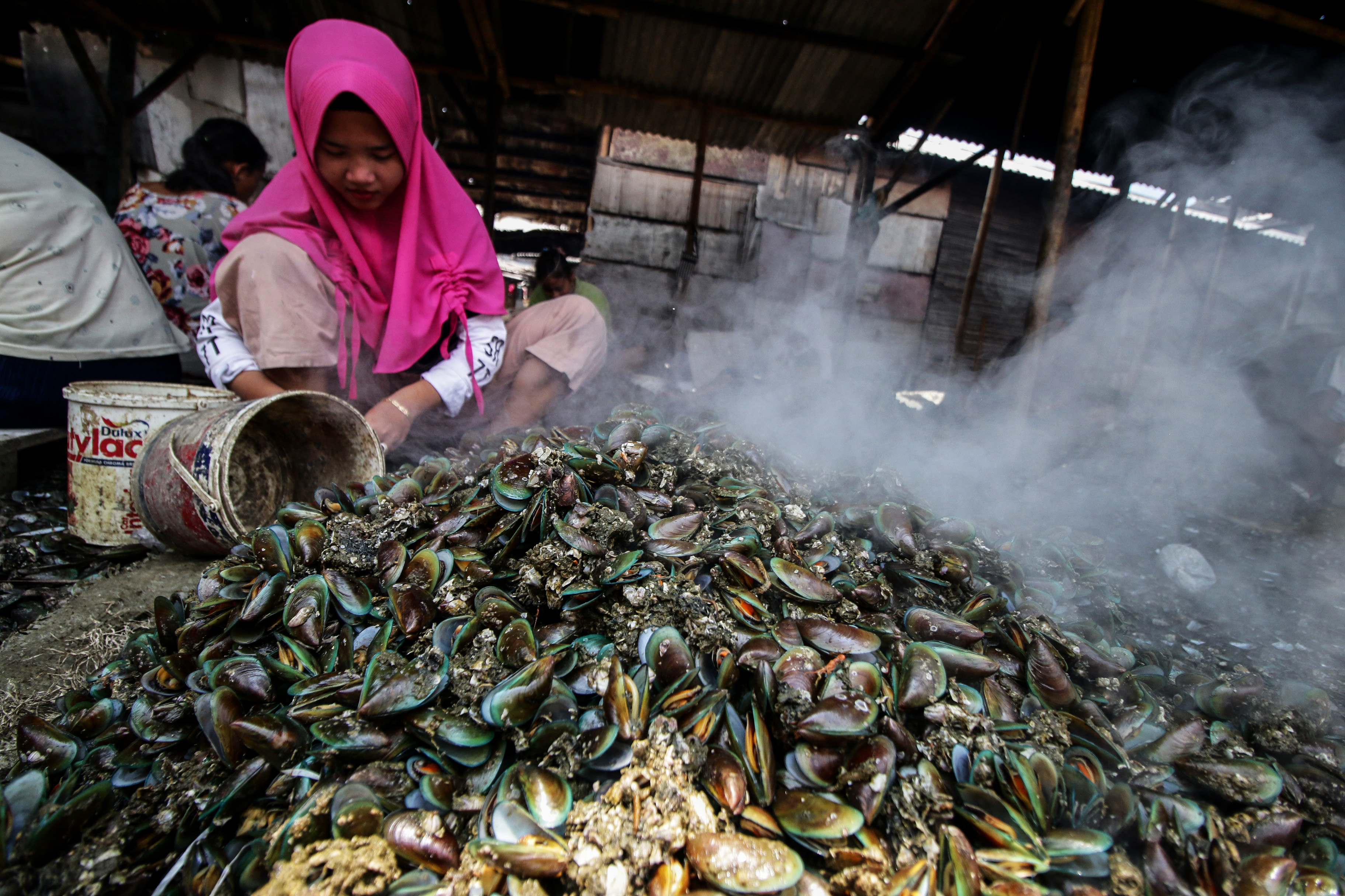 Pekerja mengupas kerang hijau di Muara Angke, Jakarta