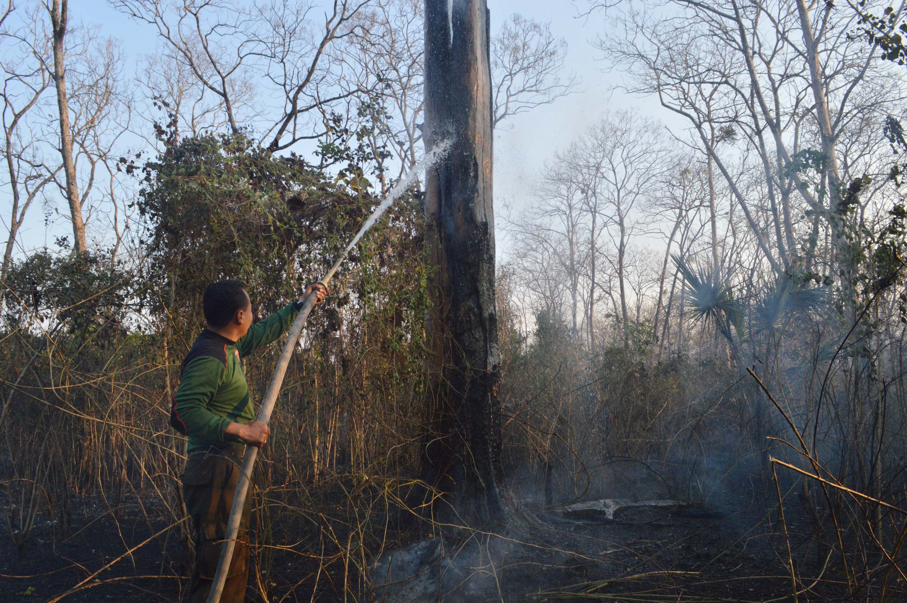Petugas menyemprotkan air untuk memadamkan api kebakaran hutan di Saradan, Kabupaten Madiun, Jawa Timur. 