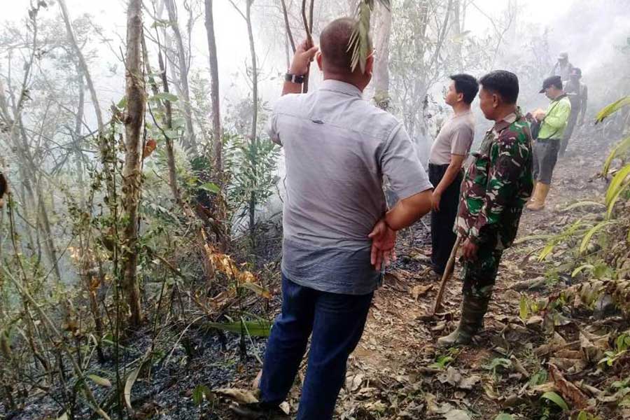 Kawasan Hutan Jati di Tonjong Brebes Terbakar