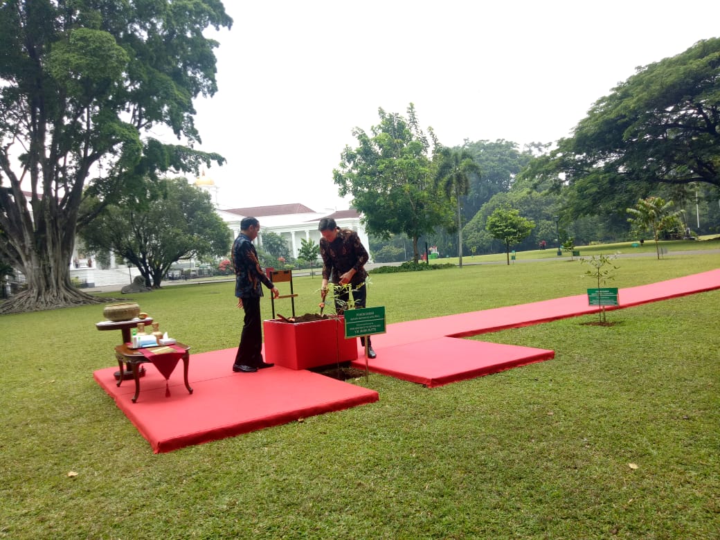 Presiden Joko Widodo dan PM Belanda Mark Rutte menanam pohon di halaman Istana Bogor