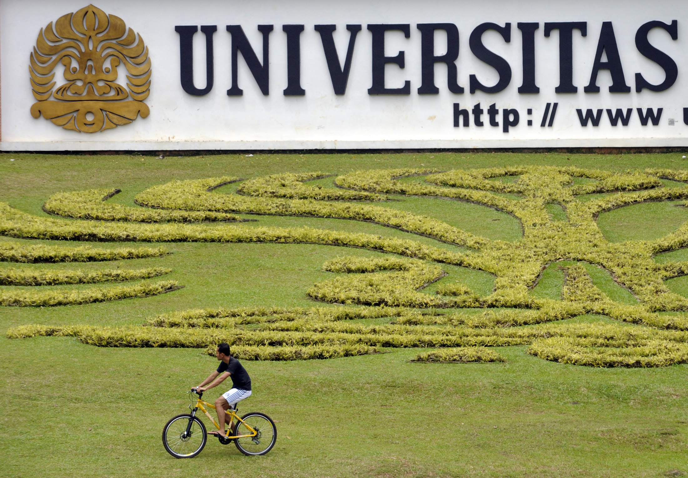 Universitas Indonesia