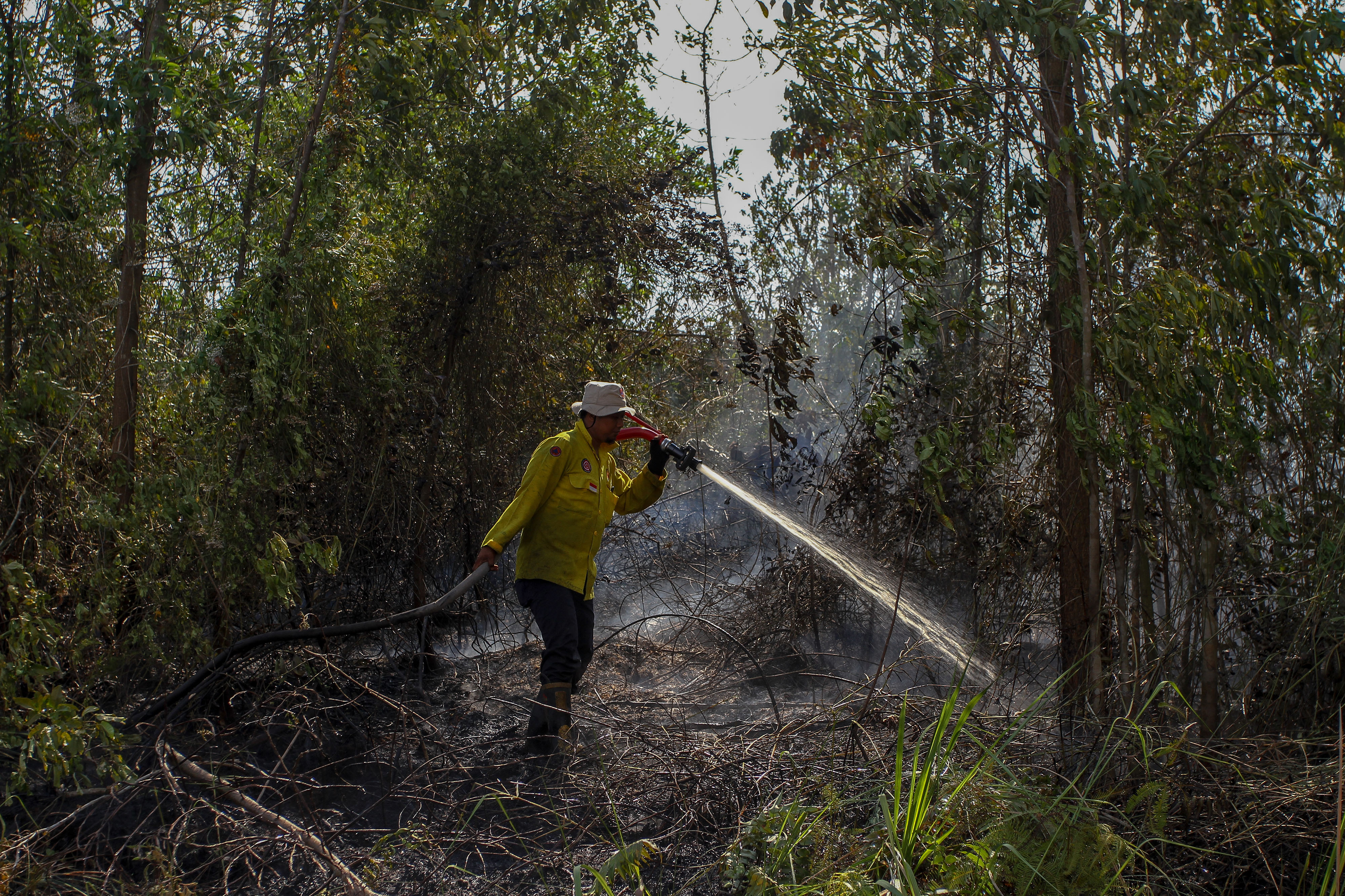 Petugas Badan Penanggulangan Bencana Daerah (BPBD) Kota Pekanbaru berupaya ,elakukan pemadaman bara api yang kembali membakar lahan gambut