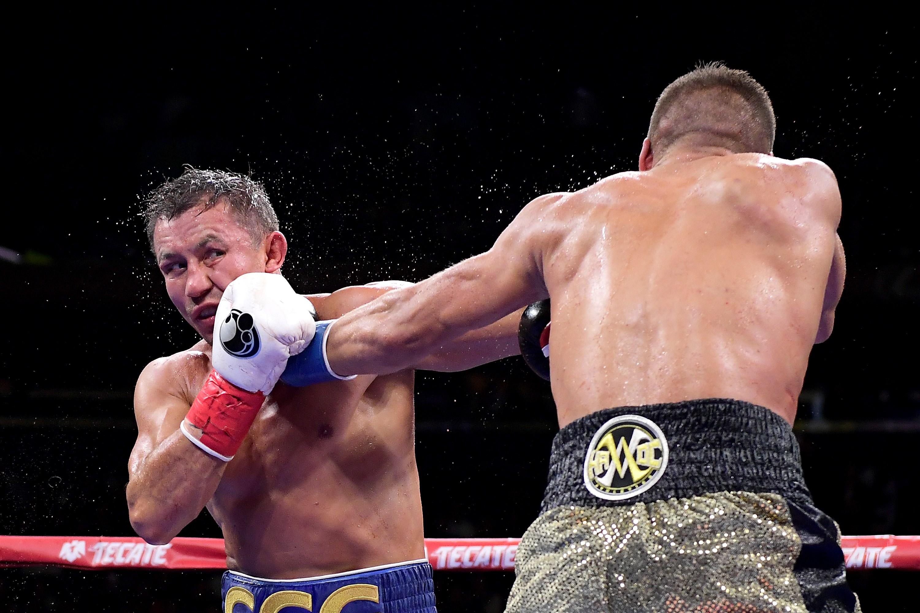 Gennady Golovkin (kiri) meninju Sergiy Derevyanchenko saat pertarungan gelar kelas menengah IBF mereka di Madison Square Garden 