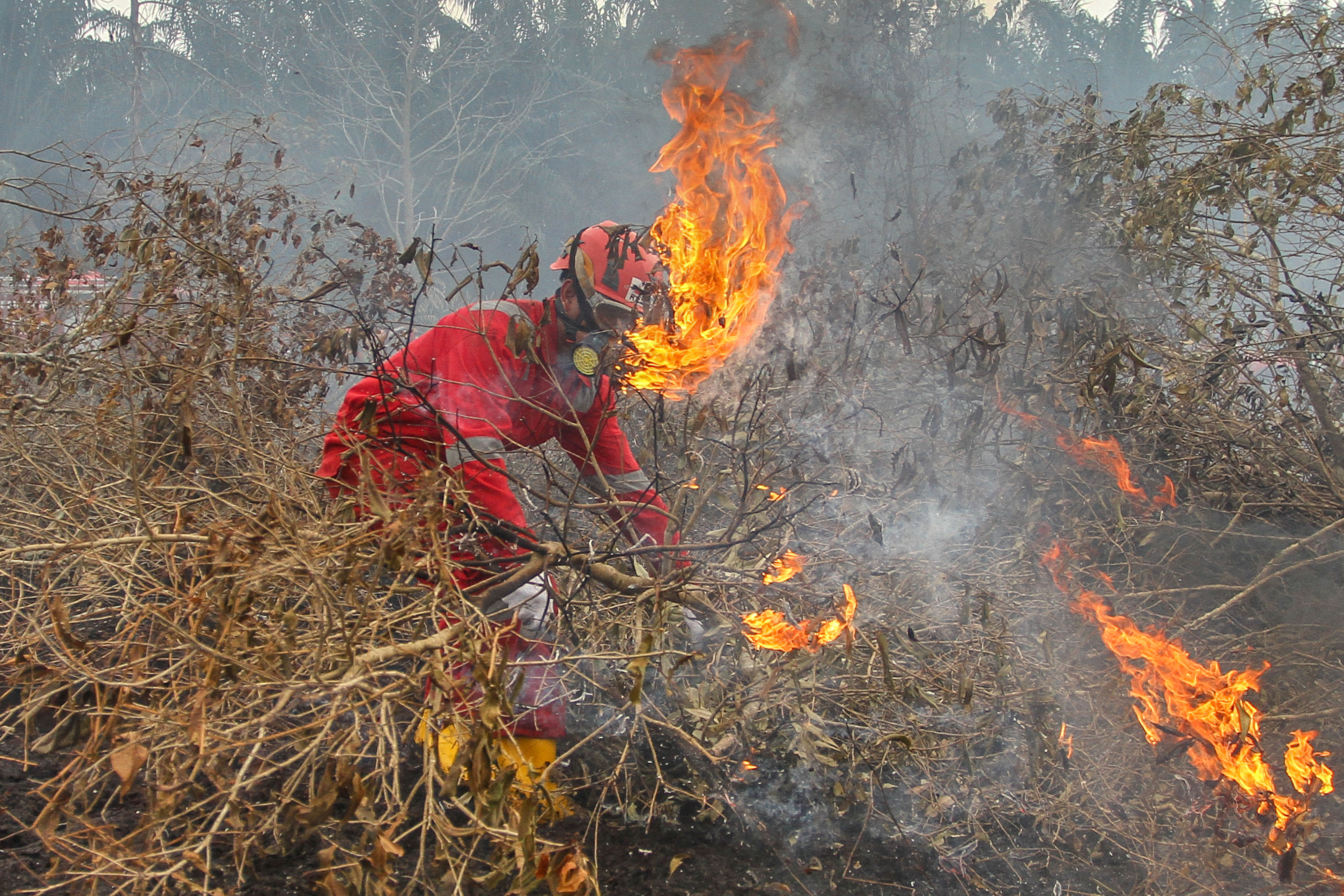 Satgas Karhutla Riau berusaha memadamkan api yang membakar semak belukar ketika terjadi kebakaran lahan gambut di Kabupaten Kampar, Riau