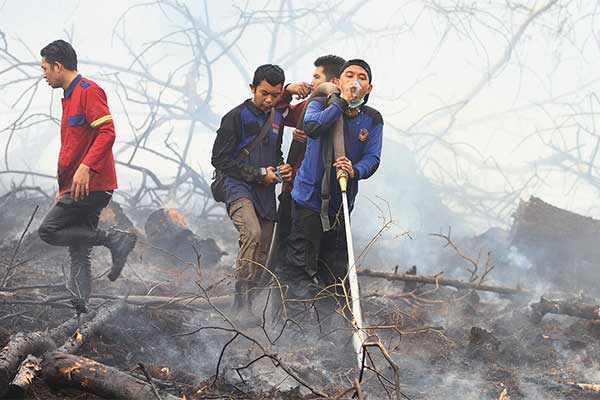 Relawan pemadam kebakaran berupaya memadamkan kebakaran hutan dan lahan (karhutla) di Desa Handil Usang, Kabupaten Kapuas, Kalimantan Tengah