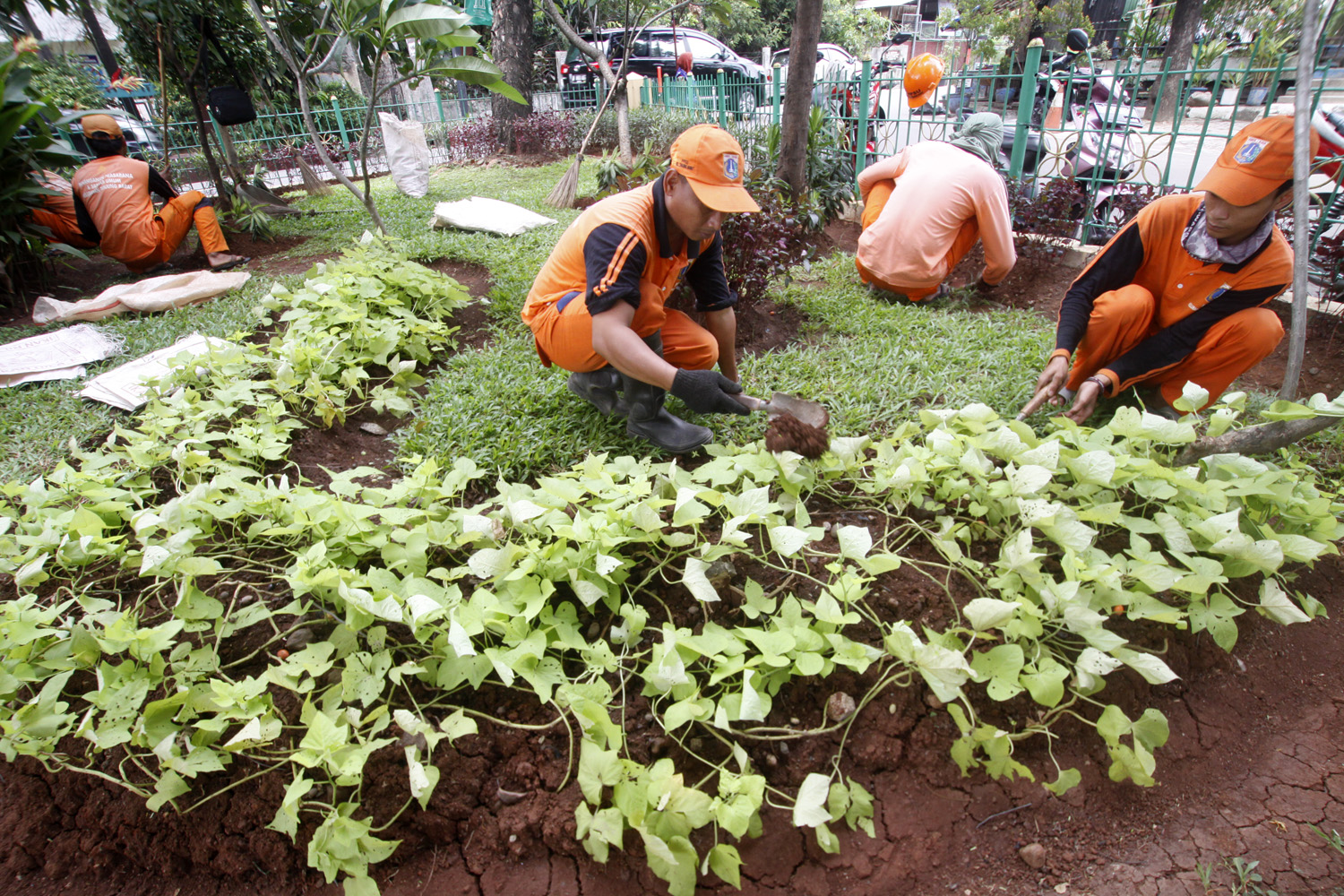 Petugas menata Taman Maju Bersama di DKI Jakarta