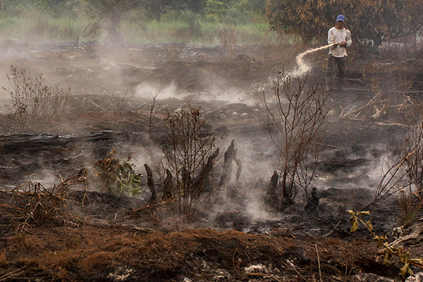 Kebakaran lahan di Riau
