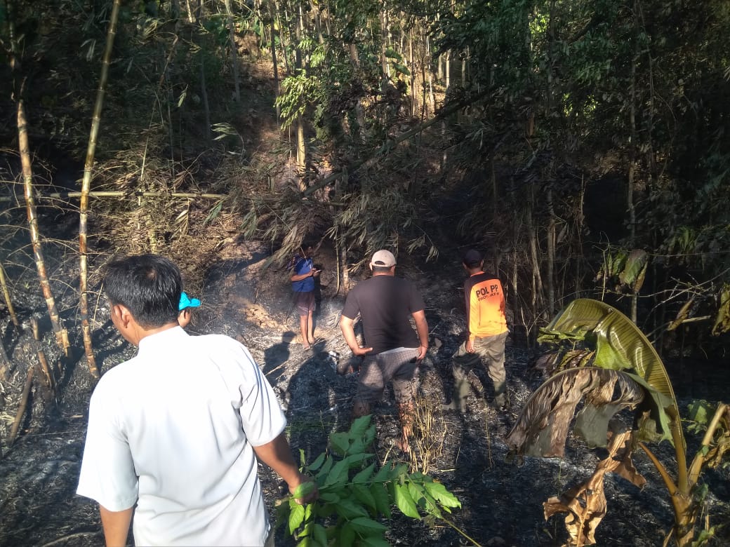 Tim SAR Gabungan melakukan evakuasi 13 pendaki yang terjebak akibat kebakaran hutan di Gunung Raung, Banyuwangi, Jawa Timur, Jumat (4/10).