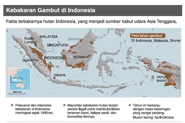 Kebakaran lahan gambut di Indonesia.