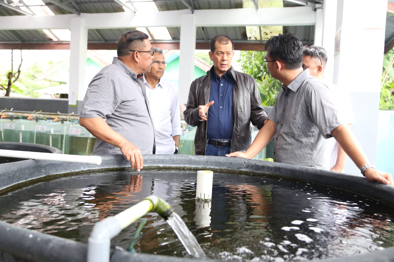 Kepala BNPB Doni Monardo meninjau penanganan pascagempa di Ambon