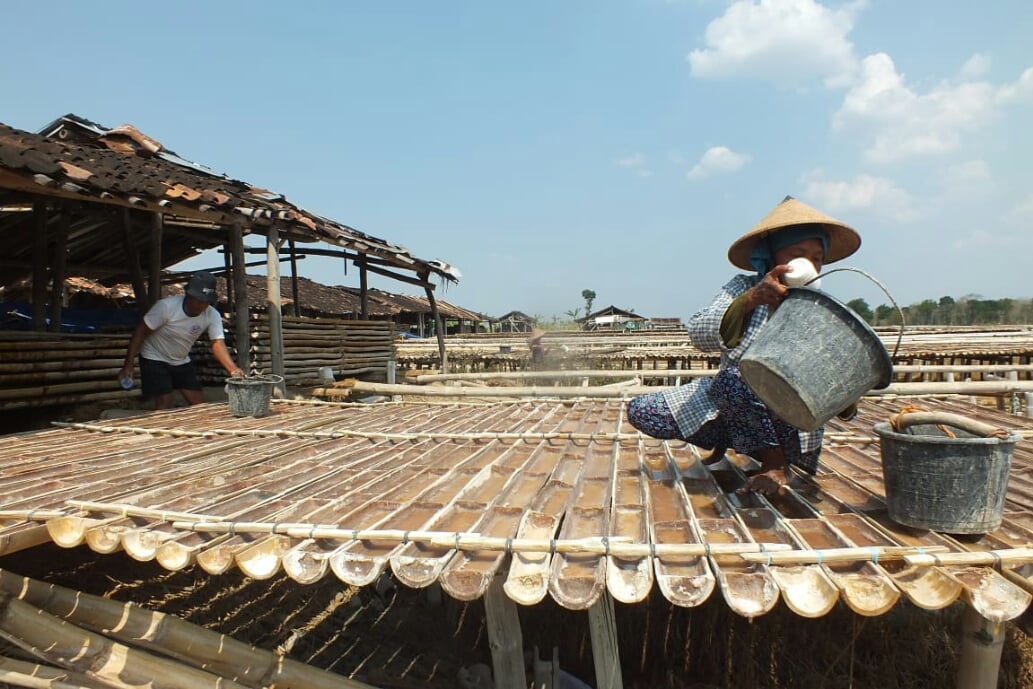 Petani Garam di Desa Jono, Grobogan
