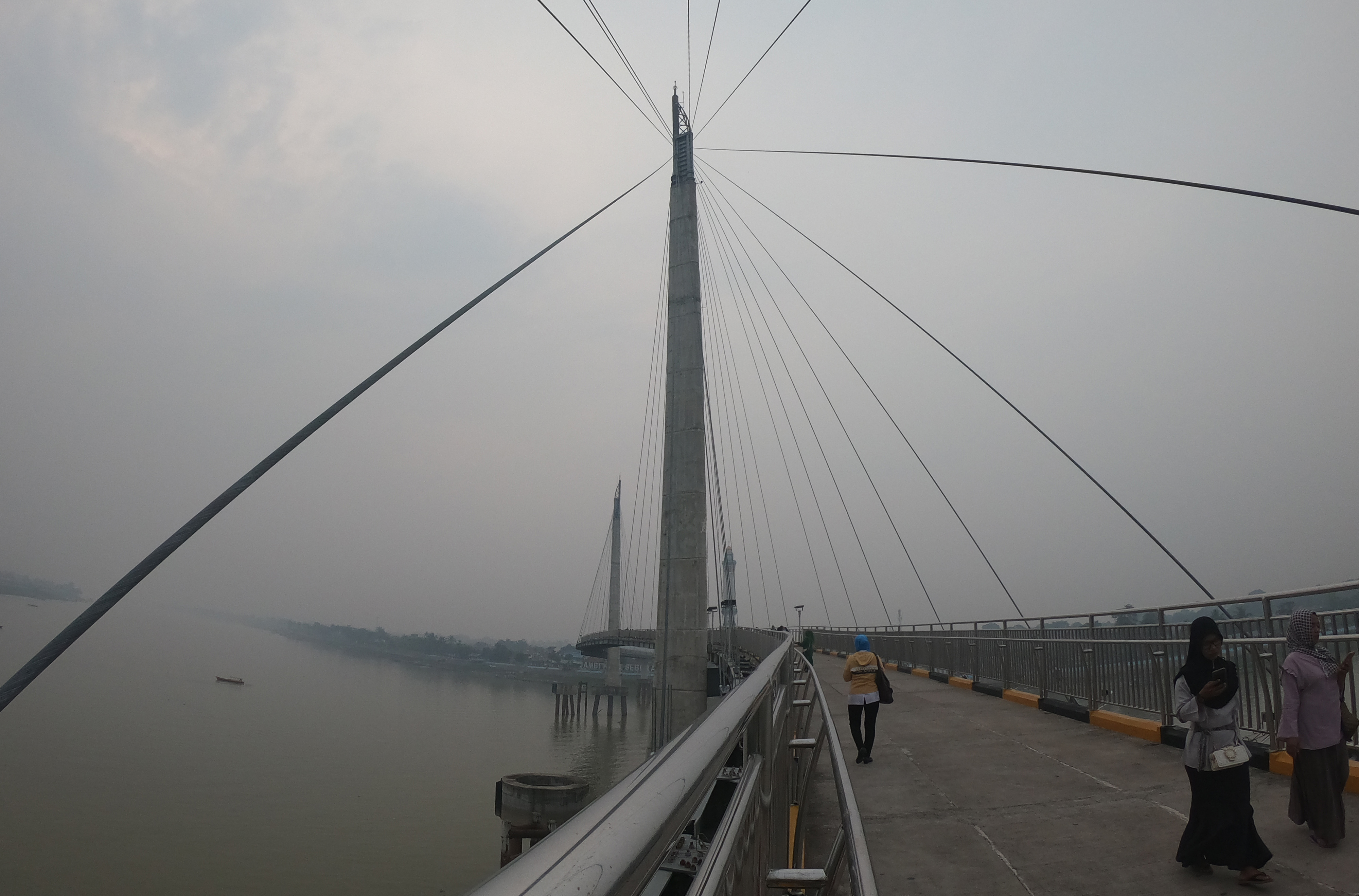 Kabut asap akibat kebakaran hutan dan lahan menyelubungi Jambi 