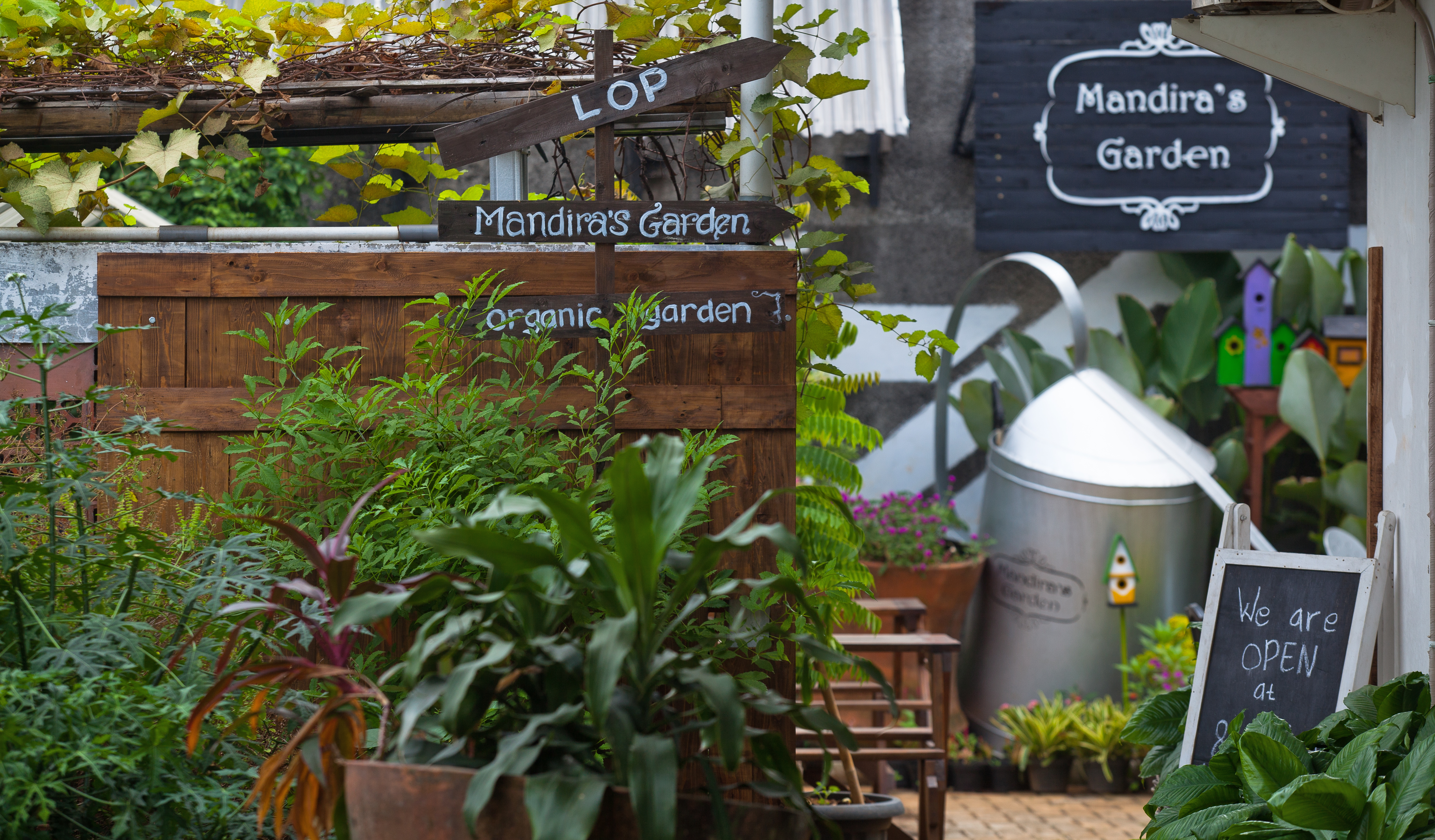 Ilustrasi--kebun organik