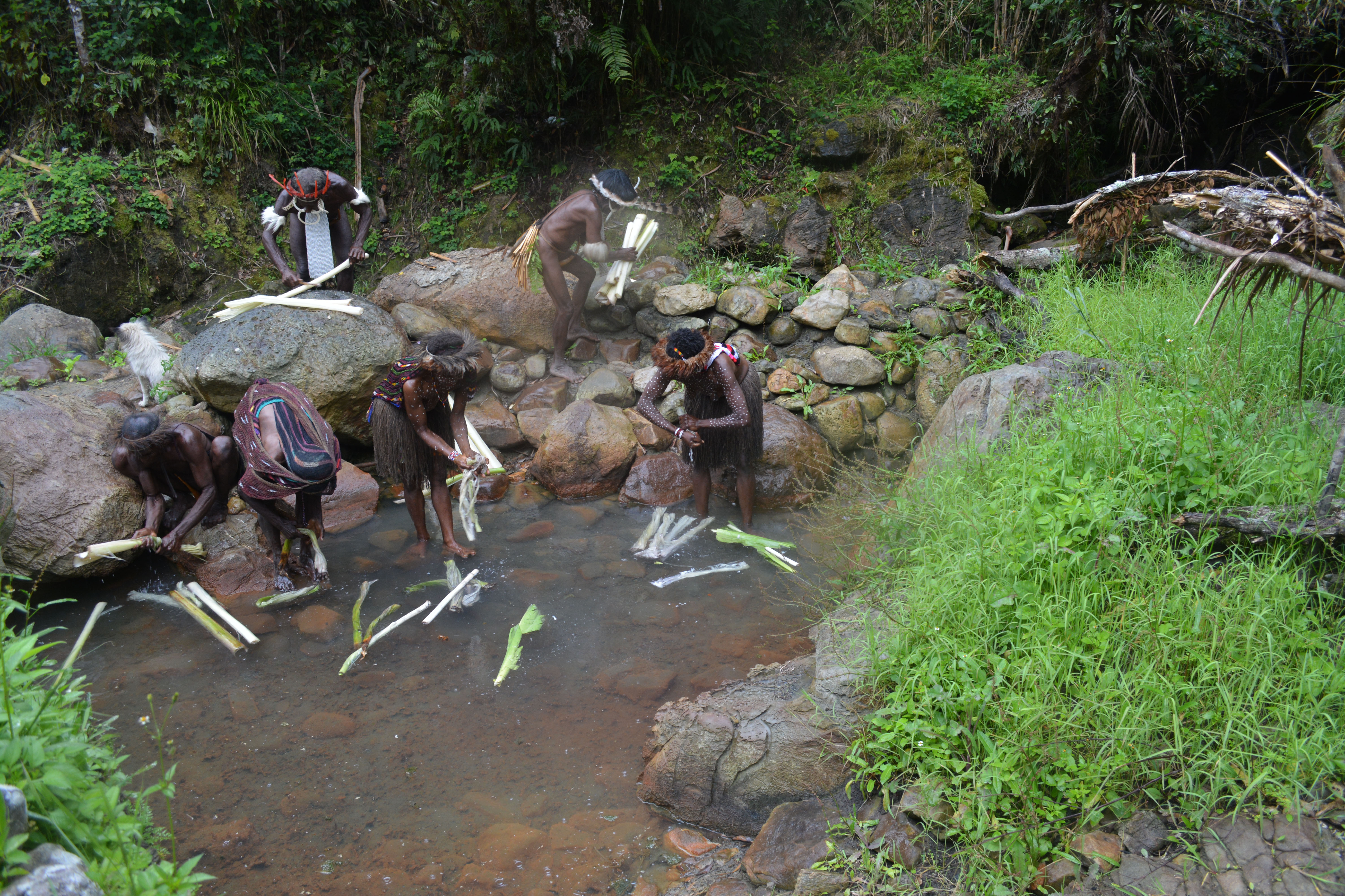 Lembah Baliem di Kabupaten Wamena, Papua