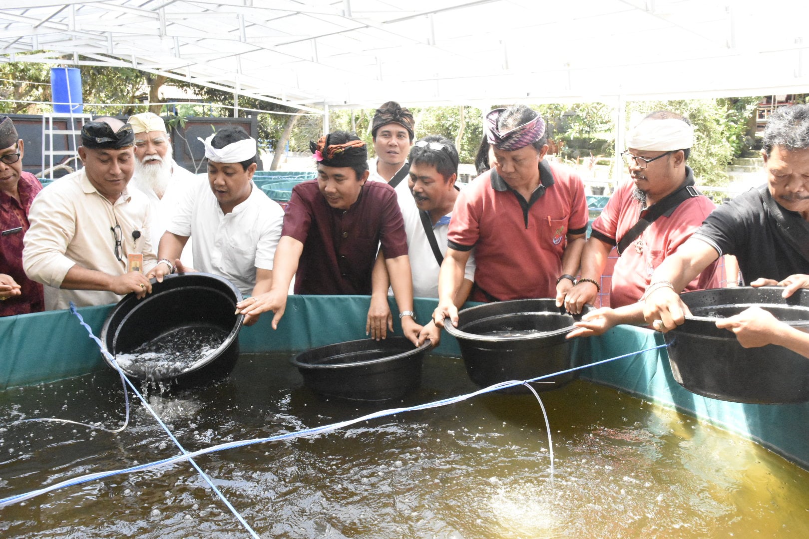 Budidaya ikan lele dengan sistem Bioflok, dan tanaman sayuran sistem Yumina pertama kali di Denpasar, Kamis (28/11/2019).