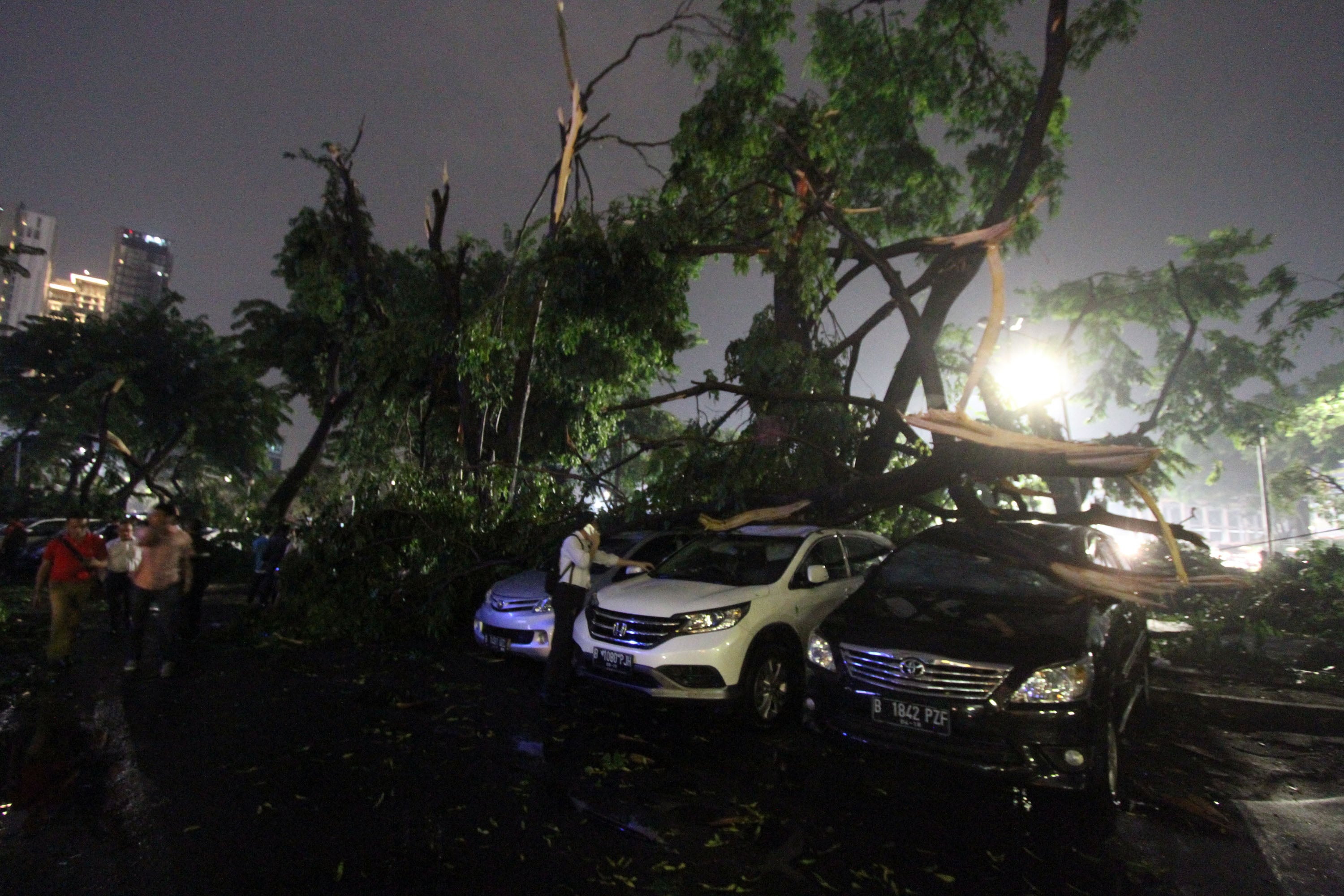 Puluhan Pohon di Kabupaten Bekasi Tumbang akibat Hujan Angin