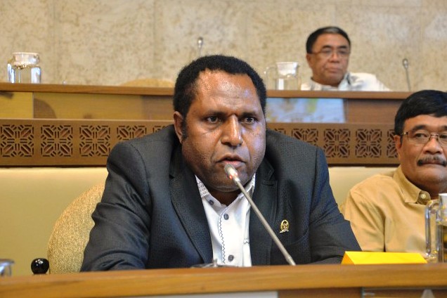Pemekaran Wilayah Papua, Legislator Usul Amandemen UU Otsus