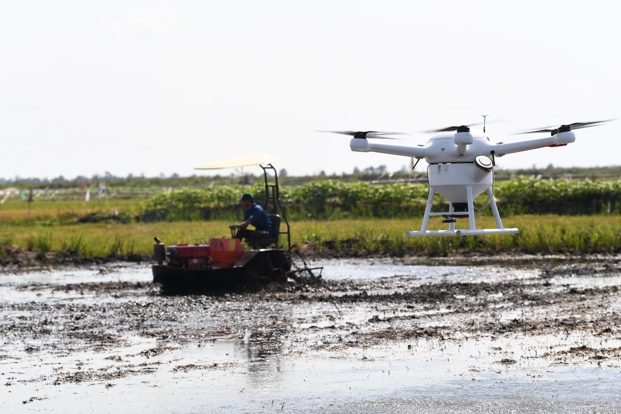 Kementan Gunakan Teknologi untuk Sulap Lahan Rawa di Kalsel Jadi Sumber Pangan