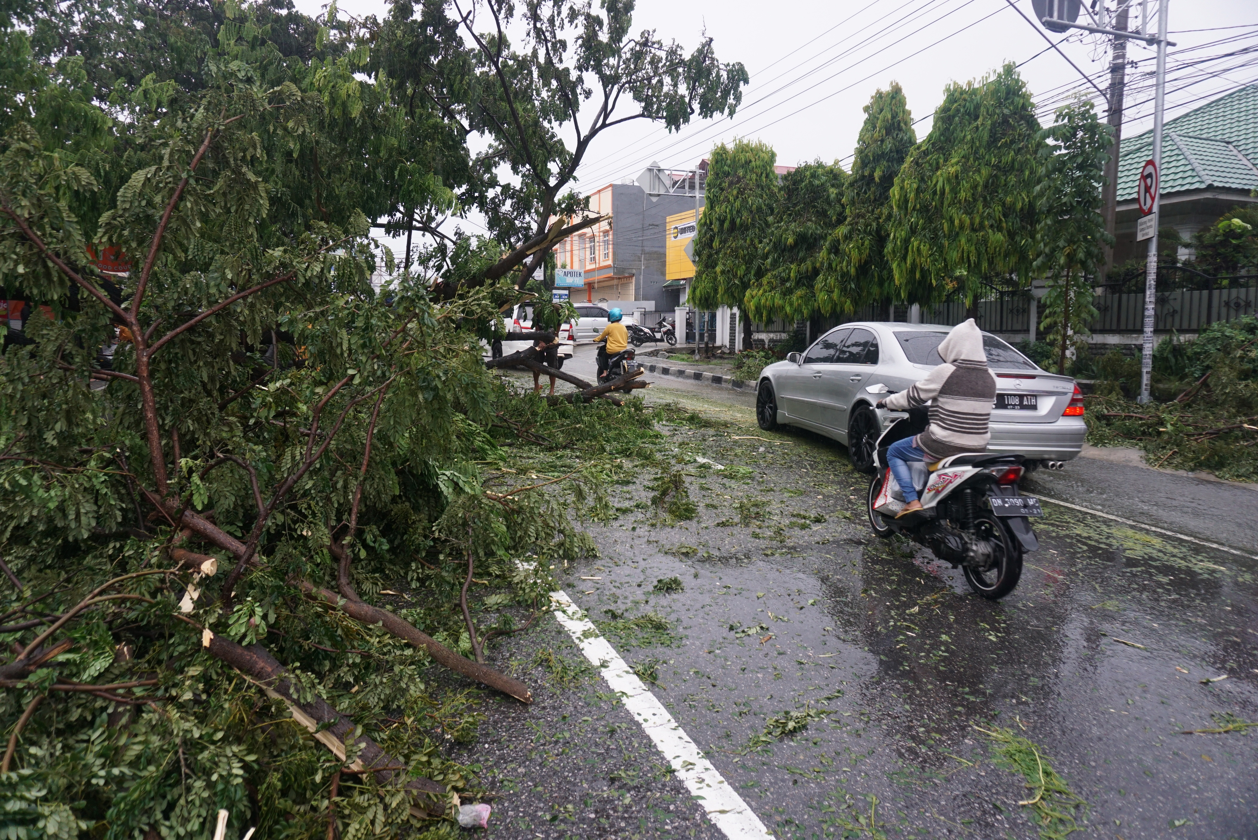 Kendaraan melintas sekitar pohon yang tumbang dan menutupi sebagian badan jalan di Palu, Sulawesi Tengah, Sabtu