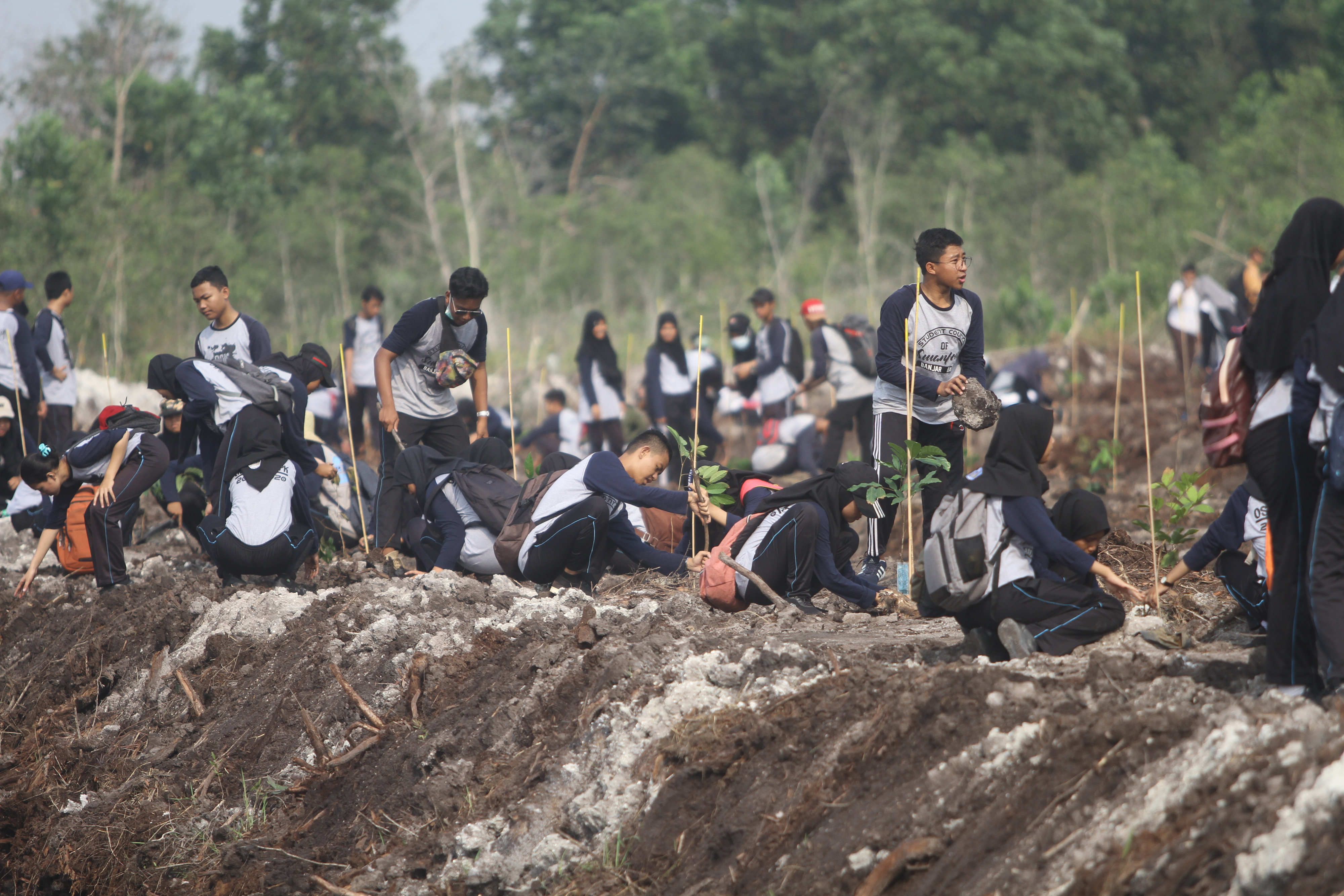 Penghijauan di kawasan daerah aliran sungai untuk mencegah banjir.