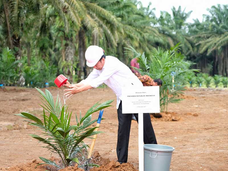 Presiden Joko Widodo saat meresmikan peremajaan lahan sawit di Kabupaten Serdang Bedagai, Sumatra Utara