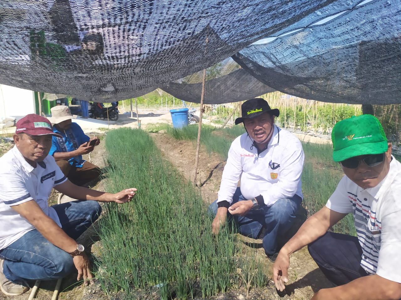  Direktur Jenderal Hortikultura Kementan, Prihasto Setyanto, (kedua dari kanan) melakukan kunjungan ke Konda, Konawe Selatan, Sultra.