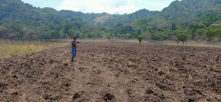 Petani sawah tadah hujan sudah mempersiapkan lahan dan bibit menjelang memasuki musim hujan. 