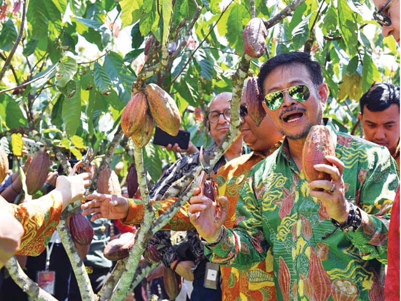 Menteri Pertanian Syahrul Yasin Limpo bersama tamu undangan memetik buah kakao di sebuah kebun di Angantan, Konawe Selatan, Sulawesi Tenggar