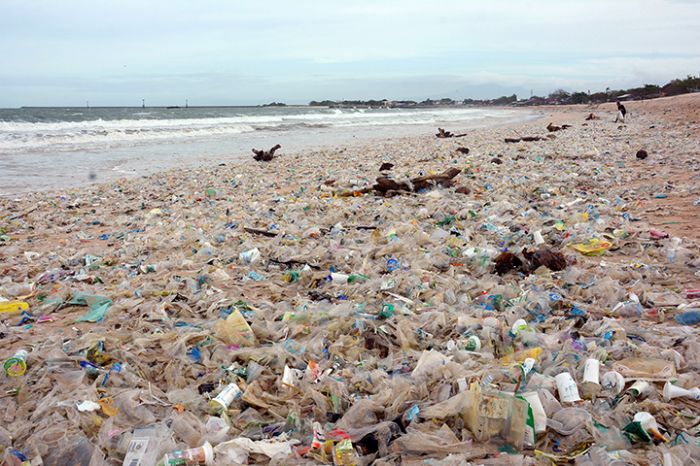Pemerintah Perlu Benahi Pembuangan Sampah Plastik   
