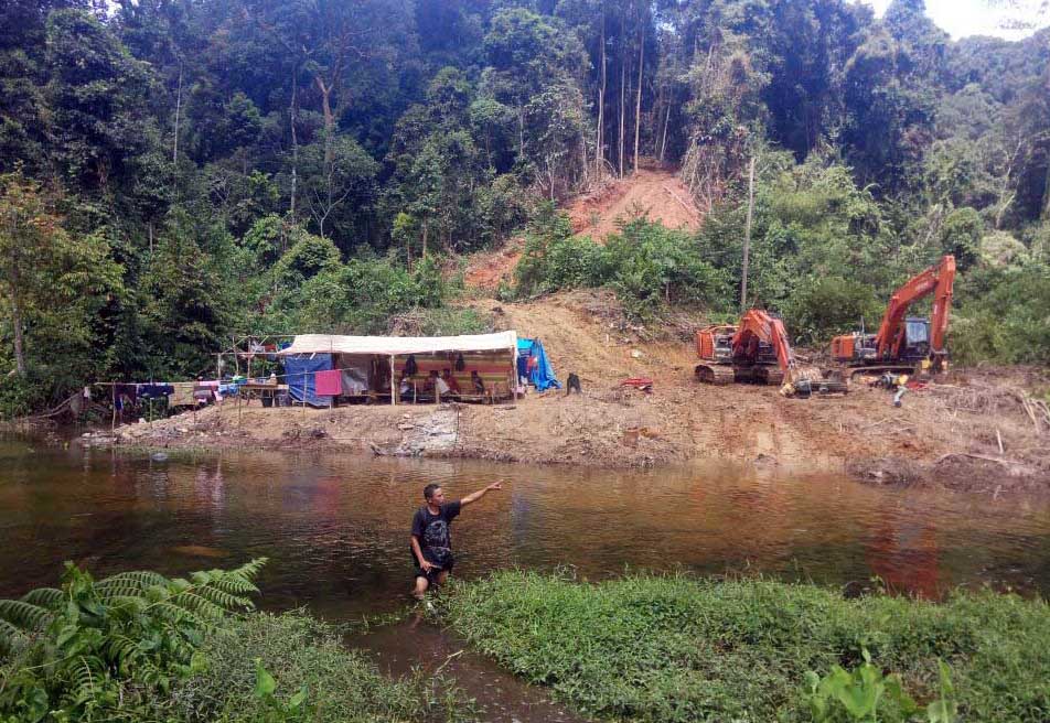 Penambangan emas liar yang marak di Kabupaten Merangin, Jambi telah merusak dan mencemari daerah aliran sungai Batanghari.