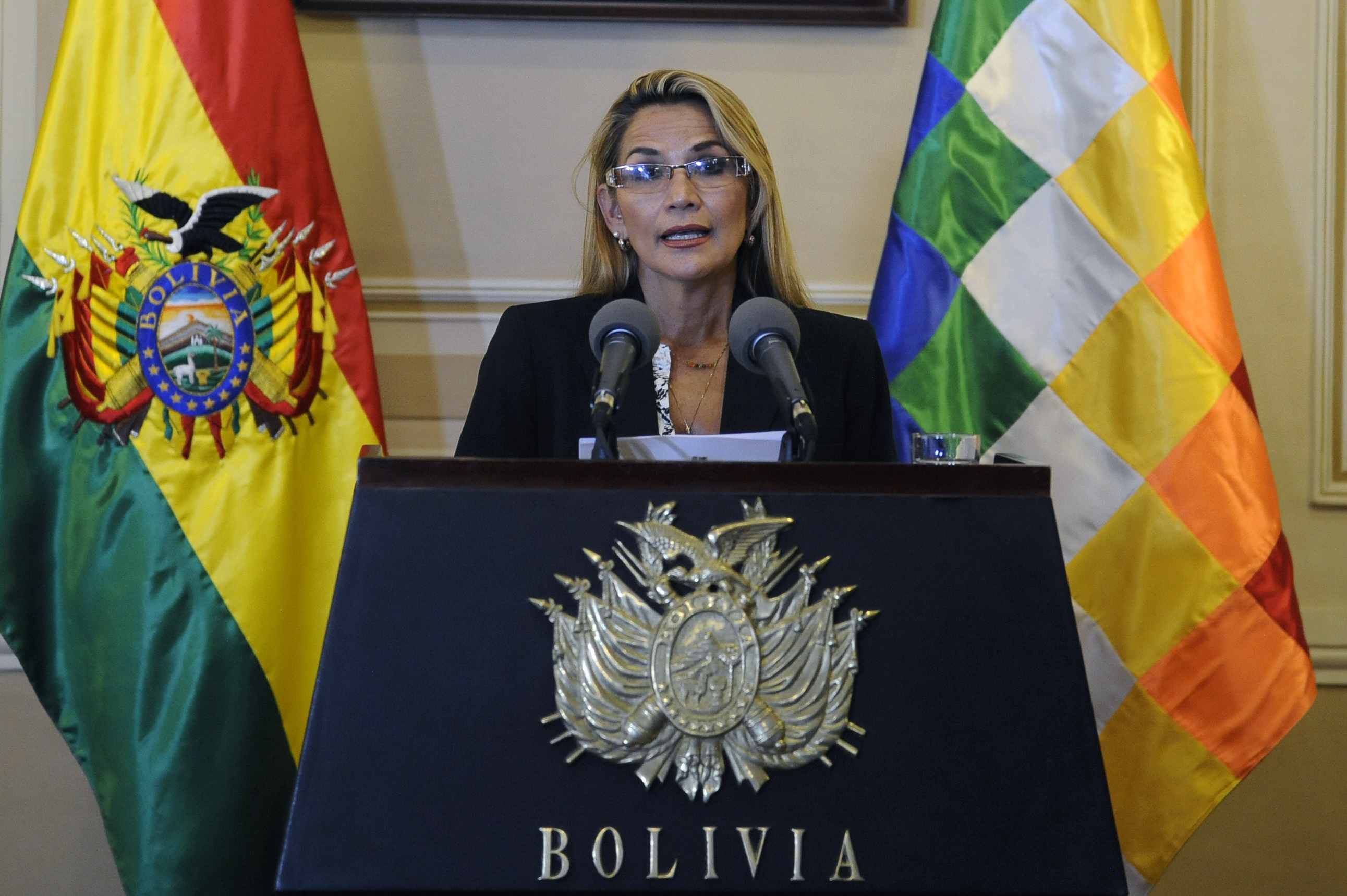 Penjabat Presiden Bolivia Jeanine Anez