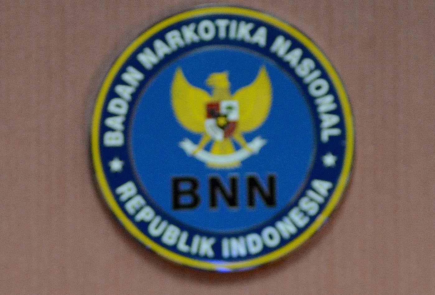 Logo BNN