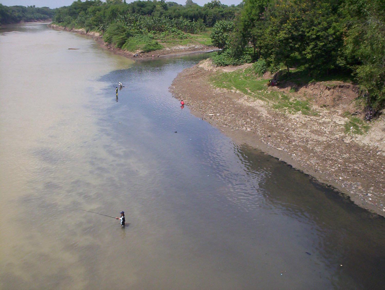 Bengawan Solo Tercemar, Pemprov Jateng Bentuk Tim