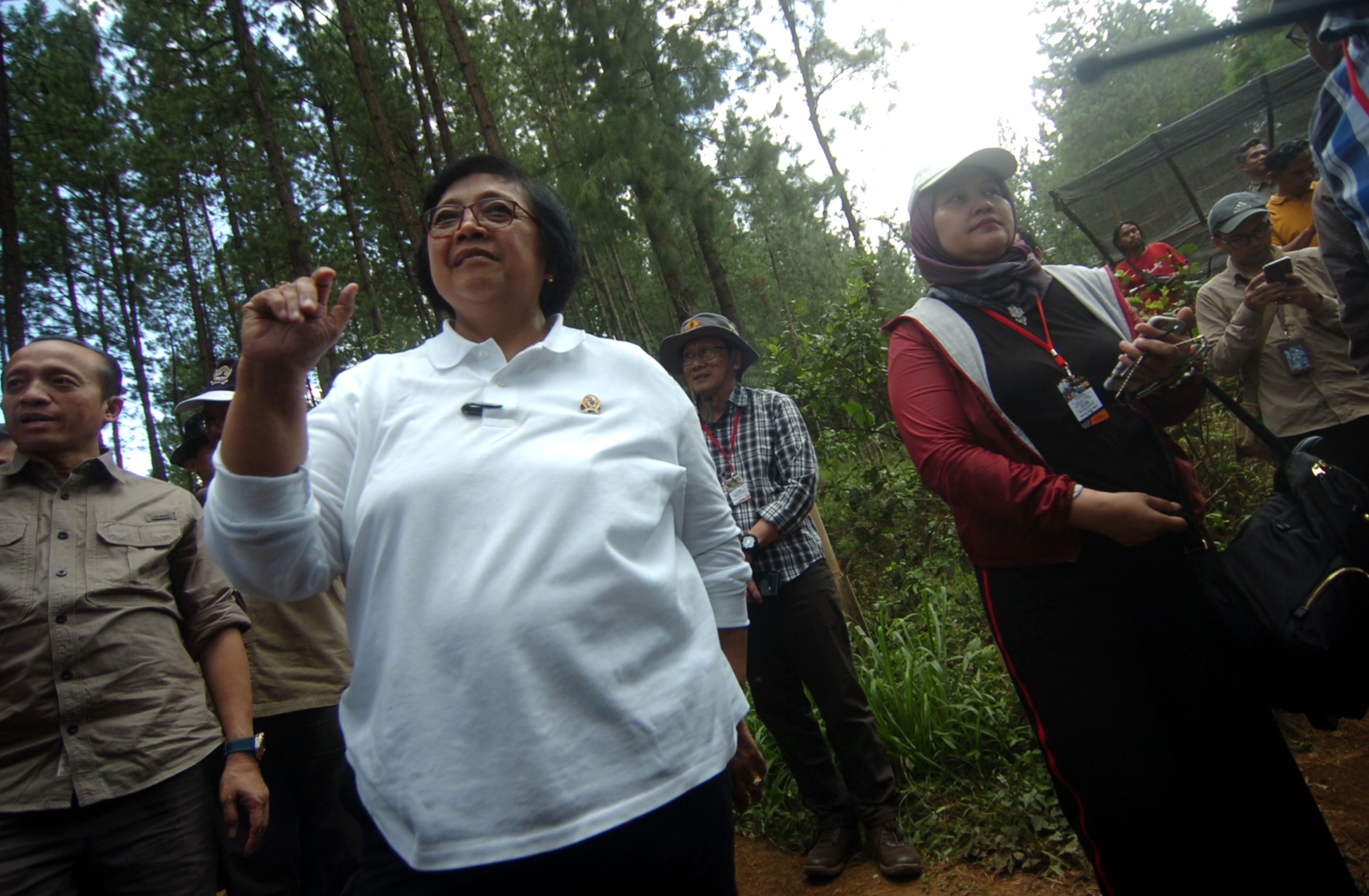  REHABILITASI HUTAN DAN LAHAN DI TEGAL: Menteri Lingkungan Hidup dan Kehutanan Siti Nurbaya Bakar (tengah) meninjau lokasi persemaian bibit 