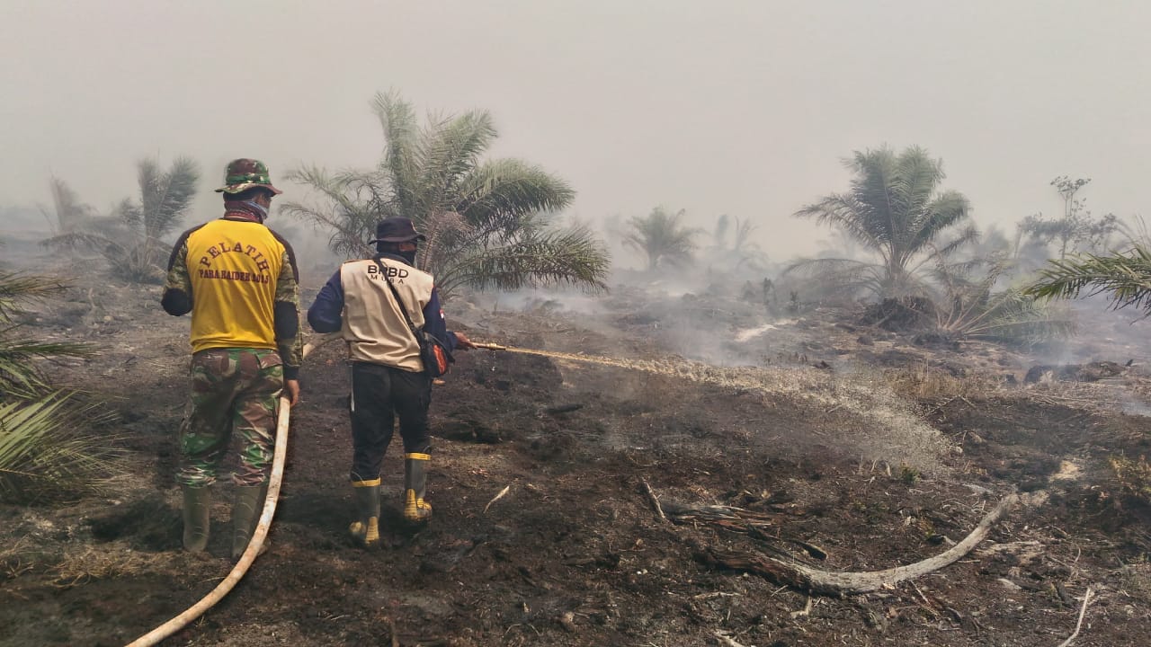 Karhutla di Sumatra Selatan masih terjadi terutama di Ogan Komering Ilir, Ogan Komering Ulu dan Banyuasin