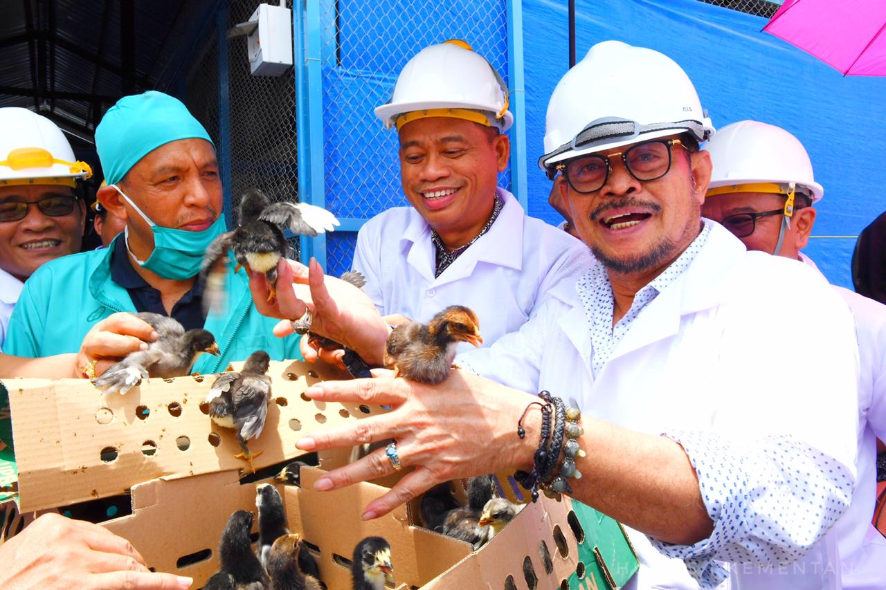 Menteri Pertanian Syahrul Yasin Limpo