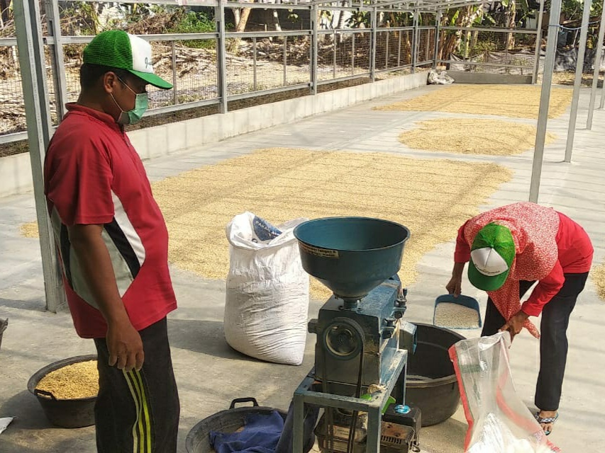 Cita-cita dan keinginan para petani Desa Argomulyo, akhirnya terlaksana dengan hadirnya Japangmas untuk mewujudkan Desa Agrisbisnis Mandiri.