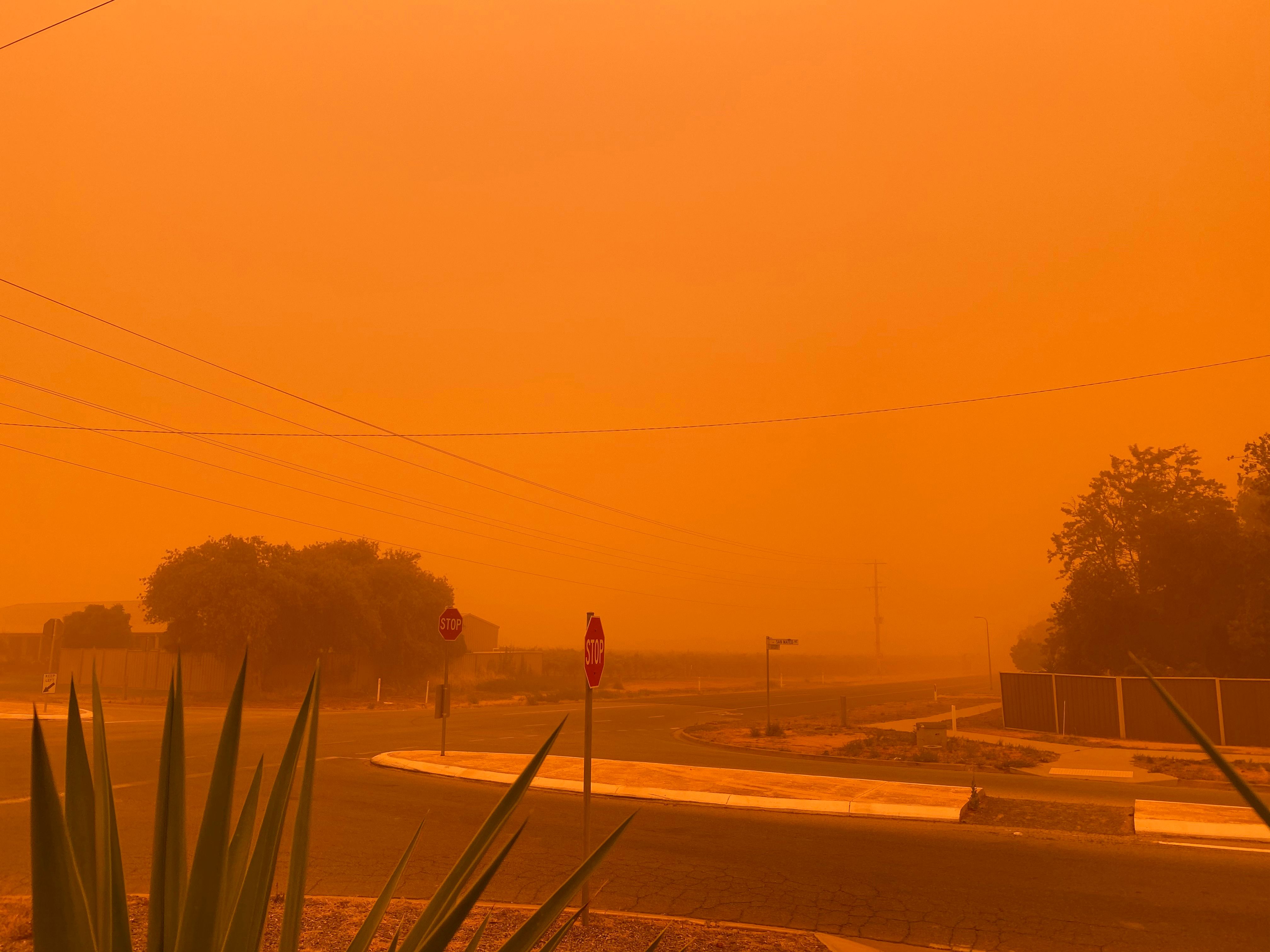 Langit berwarna merah di Sydney akibat kebakaran hutan yang melanda Australia