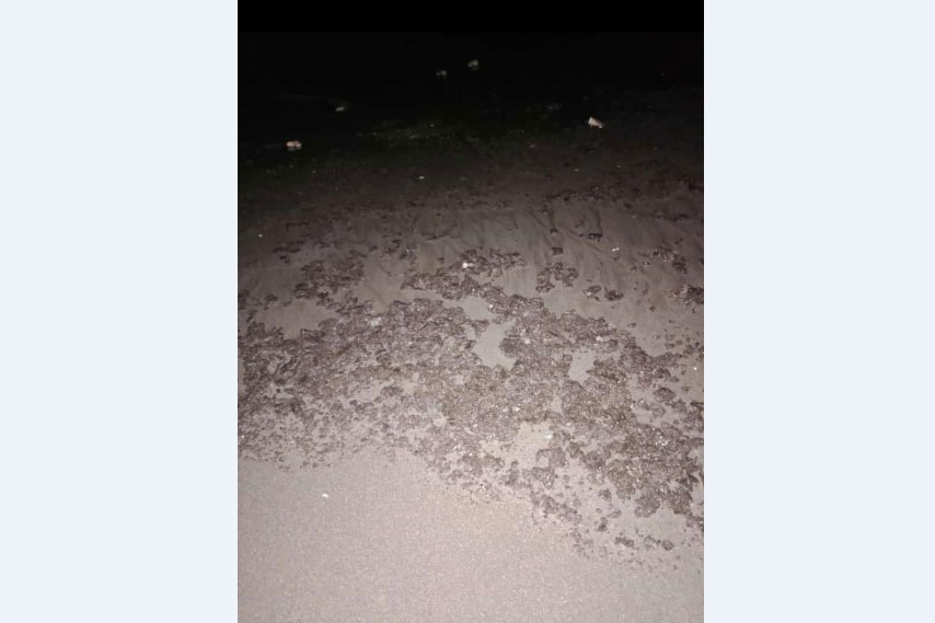 Oil Spill kembali cemari perairan utara Karawang